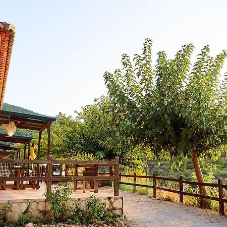 Casa Rural La Canal De Салем Экстерьер фото